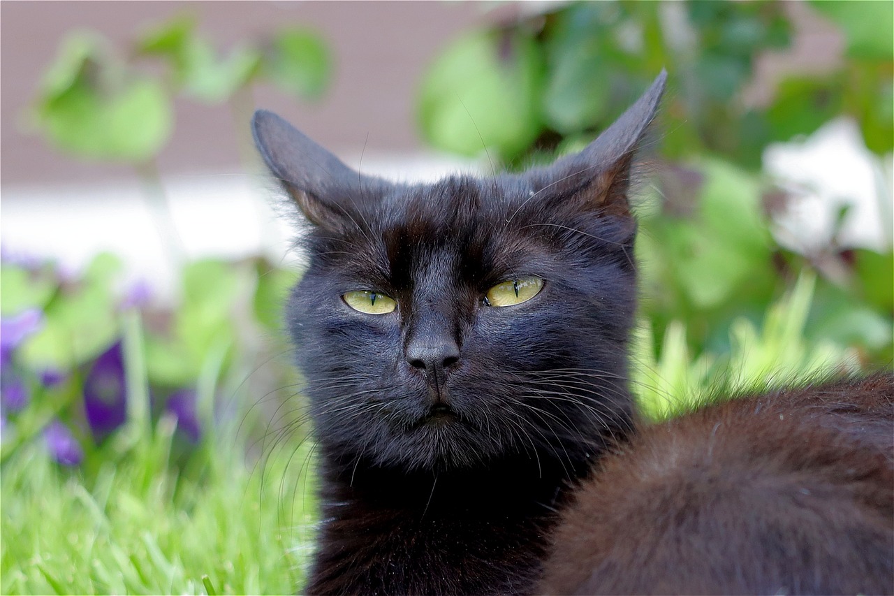 Is There Such a Thing as Pure Evil? A Philosophical Examination